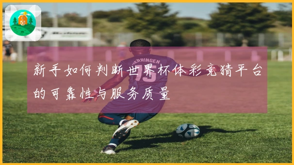 新手如何判断世界杯体彩竞猜平台的可靠性与服务质量
